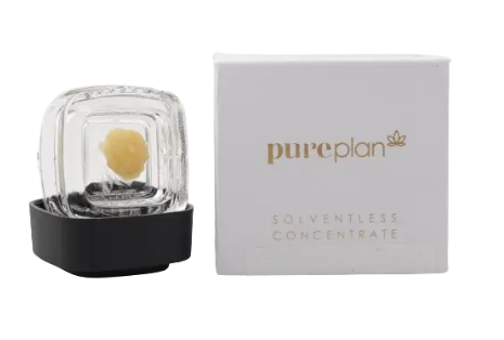 Photograph of product: Bananas Foster Live Rosin Jam Concentrate