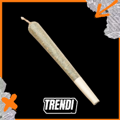 Photograph of product: Infused Prodigy Pre-Roll 1g