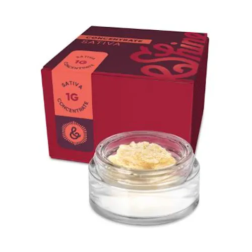 Photograph of product: &Shine | Screaming OG Haze | Budder | 1g