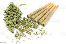Photograph of product: SMOOVE | ORANGE PINEAPPLE | INFUSED PREROLL 10PK | 7G