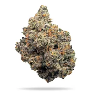 Photograph of product: Bold Cultivation Double Stack 28g Hybrid Flower