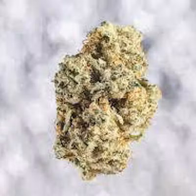 Photograph of product: GLORIOUS | Bulk Flower | Modified Grapes - 1g