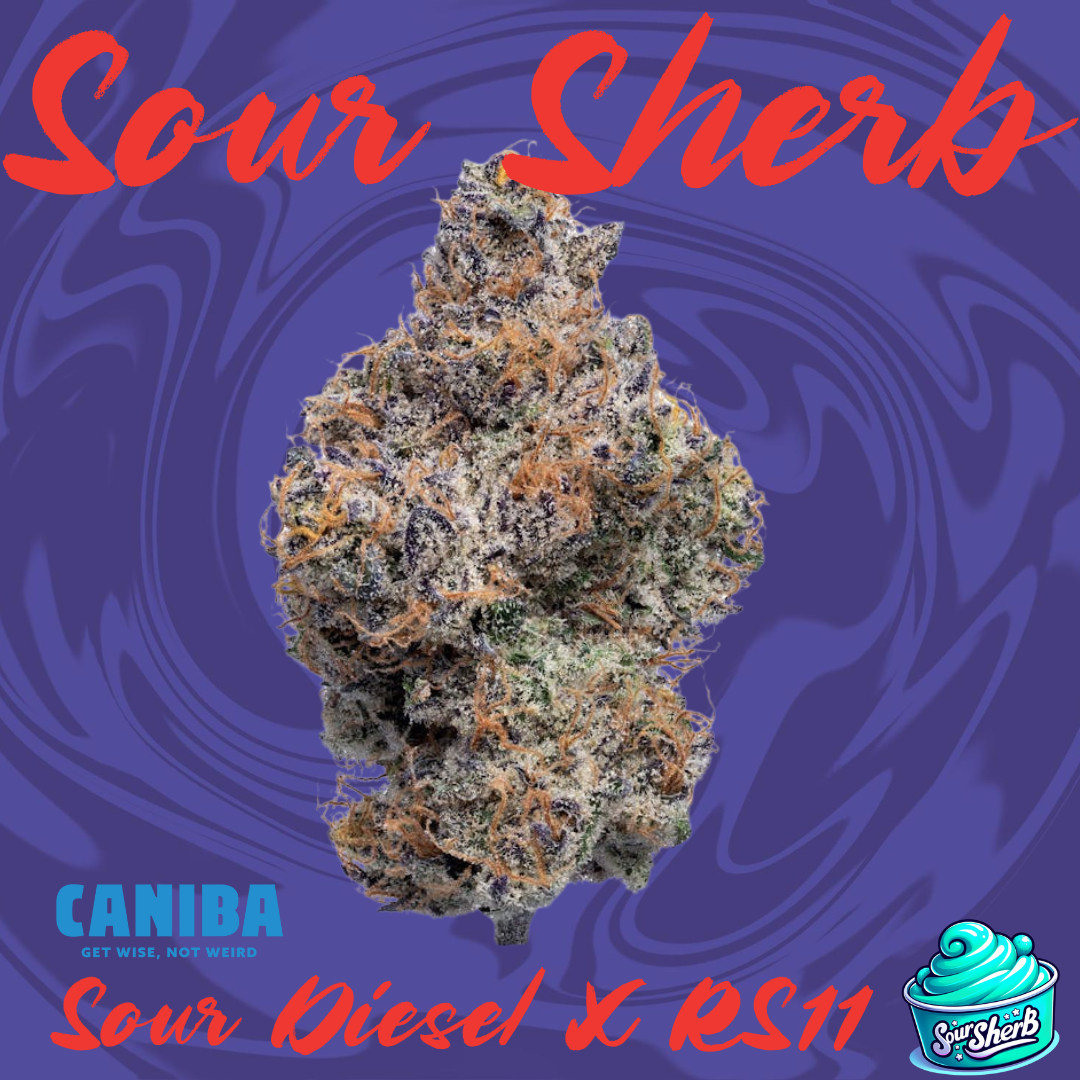 Photograph of product: Sour Sherb. Caniba - 28g