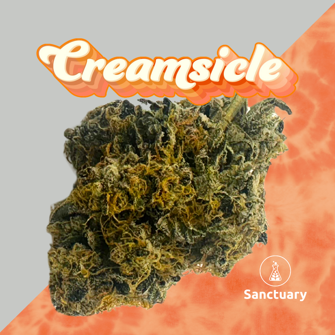 Photograph of product: Creamsicle 3.5g Small Bud