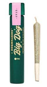 Photograph of product: Trophy Queen: Big Dog PR; 1 Pack - 1g