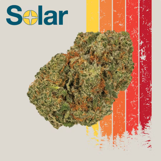 Photograph of product: Flower - Chocolope - 3.5g