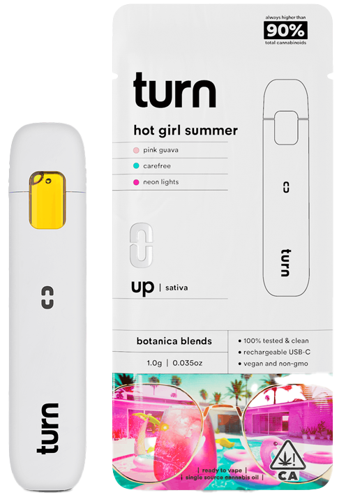 Photograph of product: Turn | Hot Girl Summer | 1G AIO (S/H)