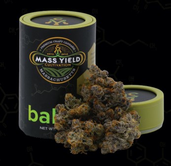 Photograph of product: Grape Gary - 3.5g