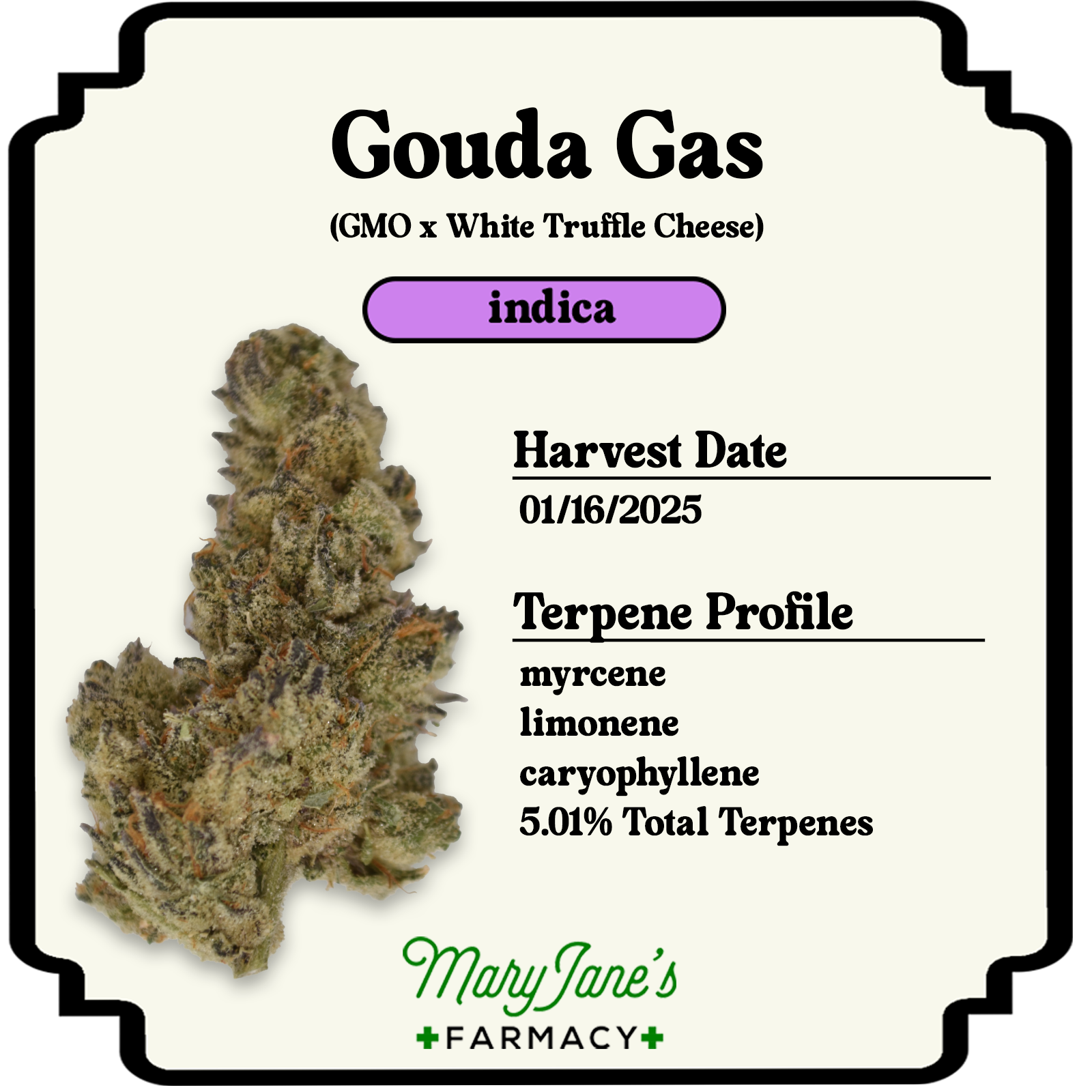 Photograph of product: Gouda Gas - 28g