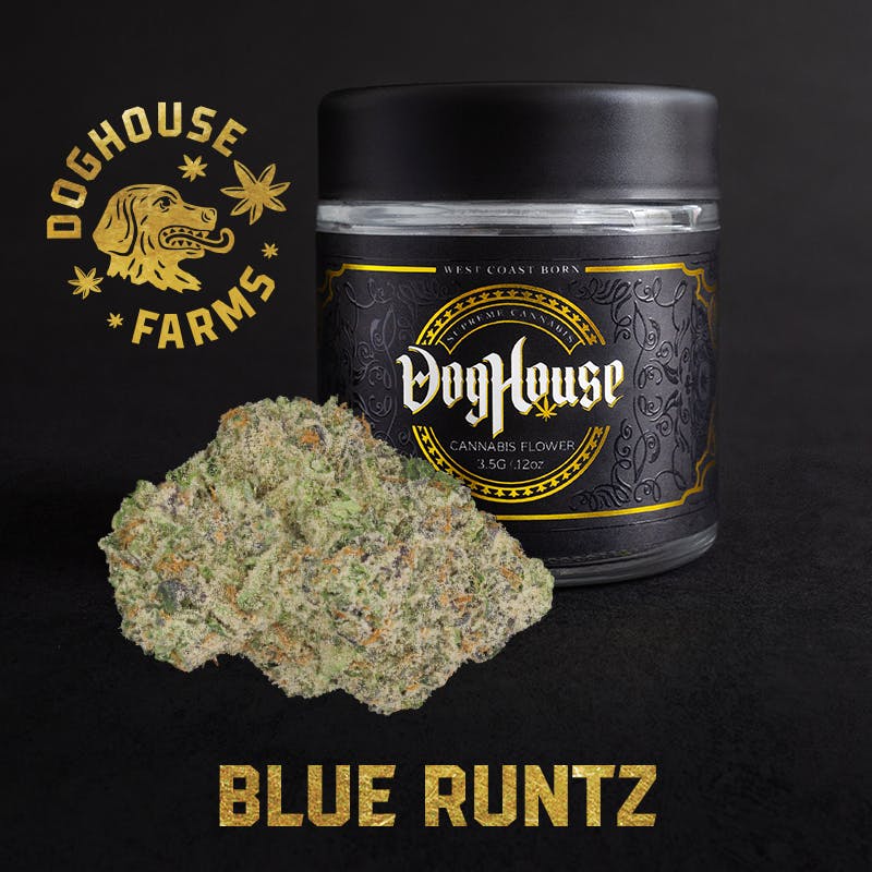 Photograph of product: DOGHOUSE | BLUE RUNTZ | B BUDS | BULK | Oui'd - 1g