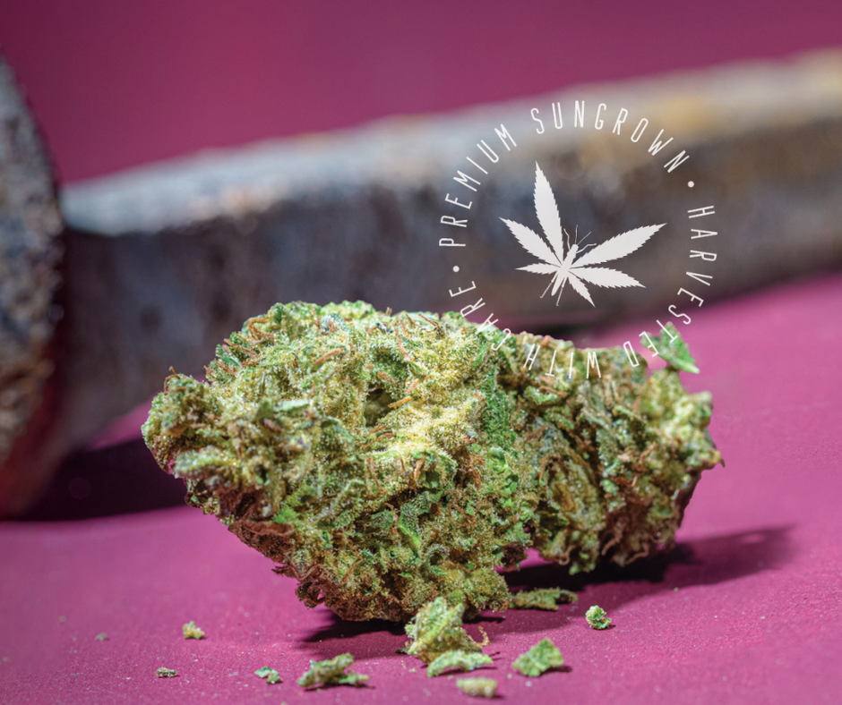 Photograph of product: Grasshopper Farms | Casey Jones | Oui'd | Bulk Flower | BRONZE - 1g