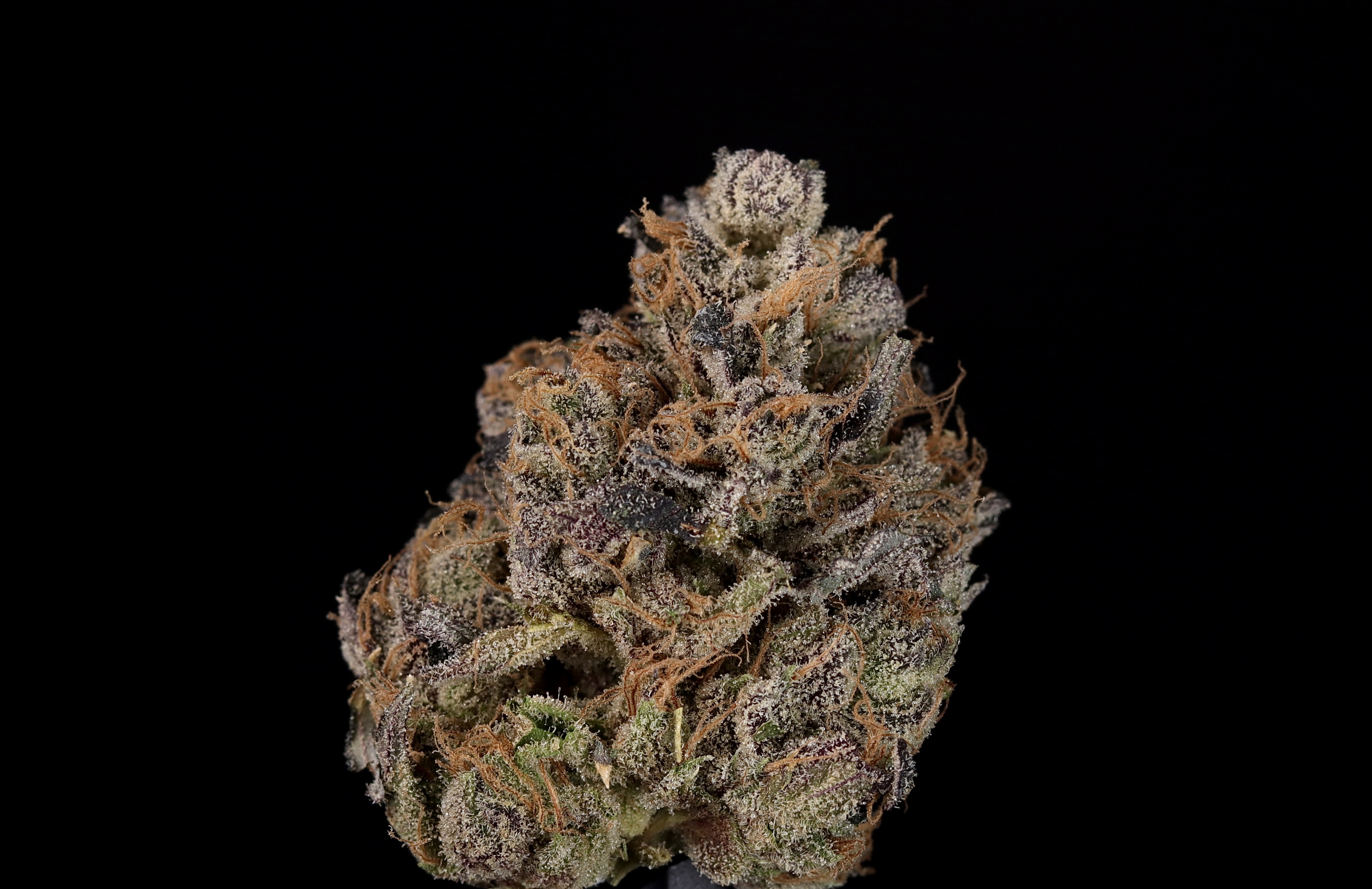 Photograph of product: Florida Pie 1g - Landrace Oui'd Co.