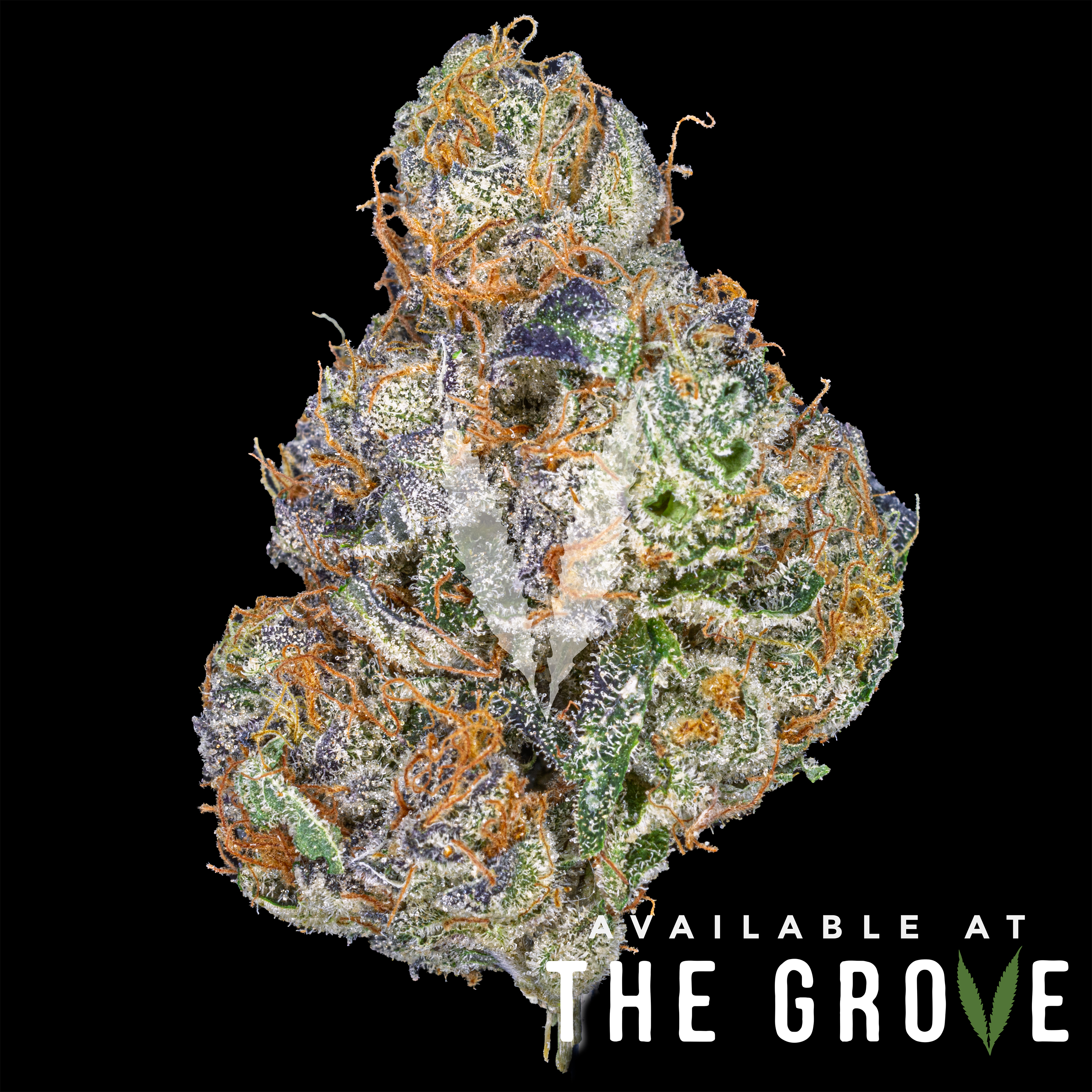 Photograph of product: Peal Pharma | Lavender Lemonade 1g Flower