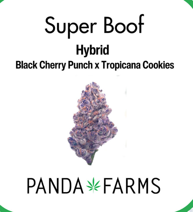 Photograph of product: [REC] Panda Farms | Super Boof | 3.5g Flower