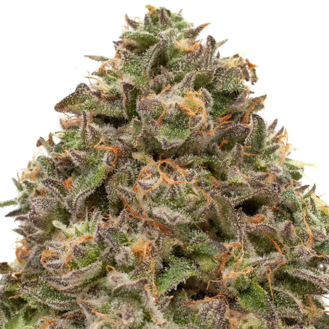 Photograph of product: Melonade Gibson - 3.5g