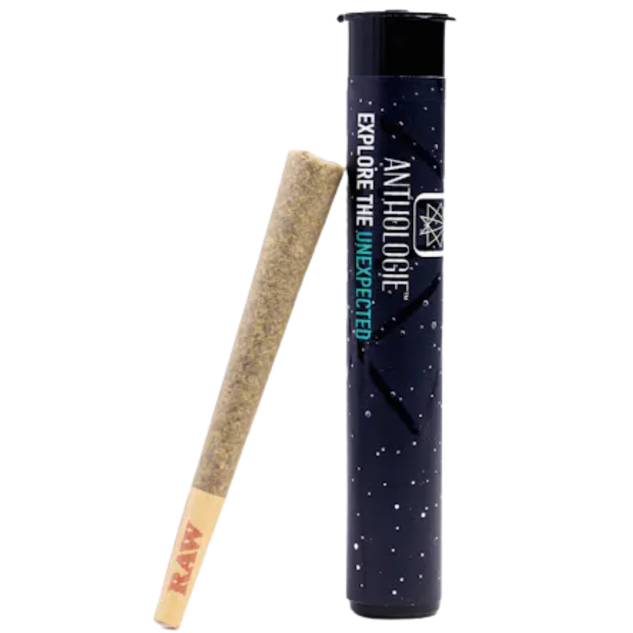 Photograph of product: PREROLL | Banana Bread | Anthologie