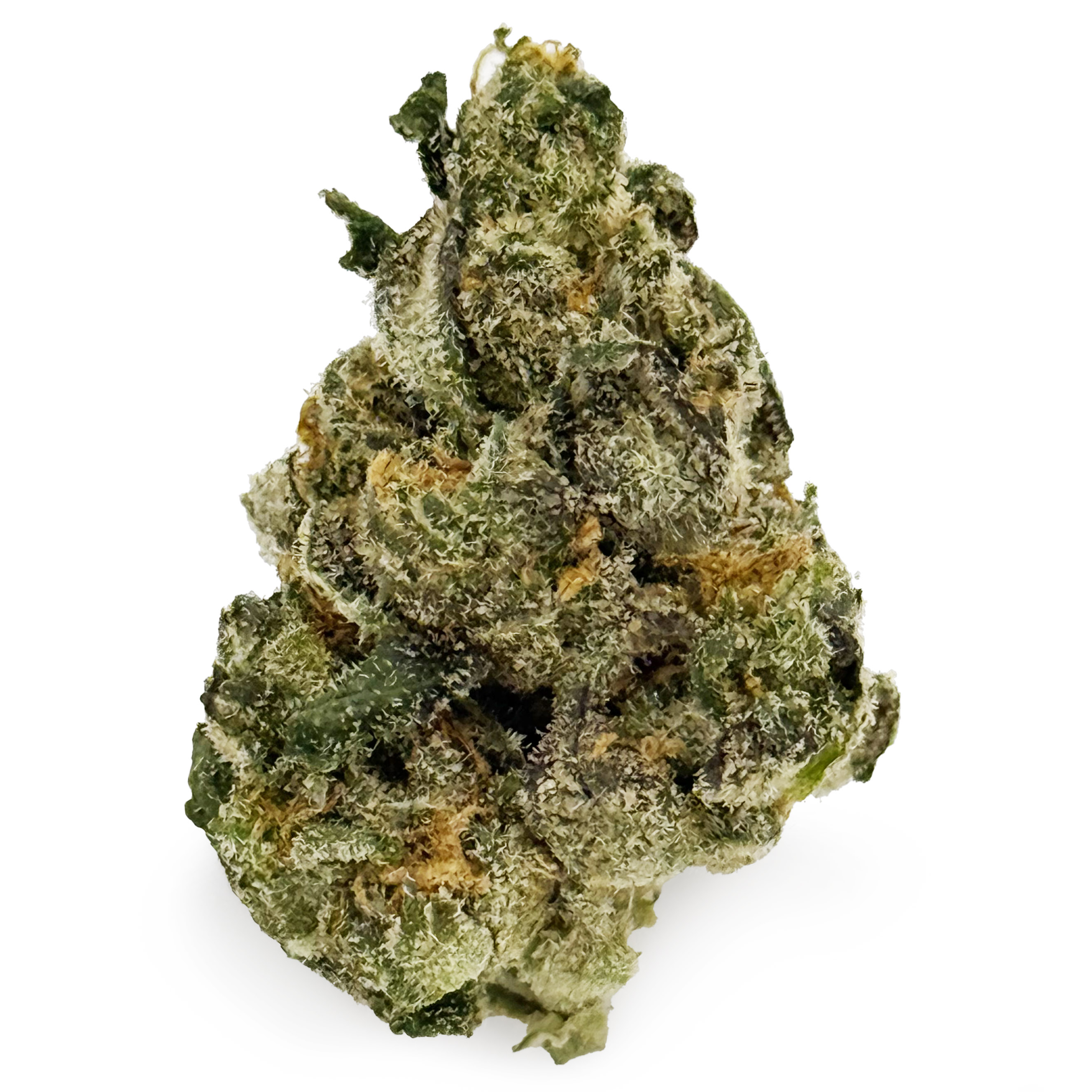 Photograph of product: Glorious Frosted Truffle Pie Rec - 70g