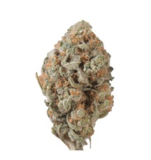 Photograph of product: Pheno Exotic | Tangie Turbo (H) - 14g