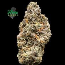 Photograph of product: ON POINT | 3.5G