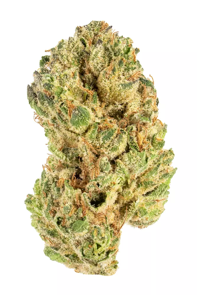 Photograph of product: GMO x Jungle Cake - Prepack Deli - - 28g