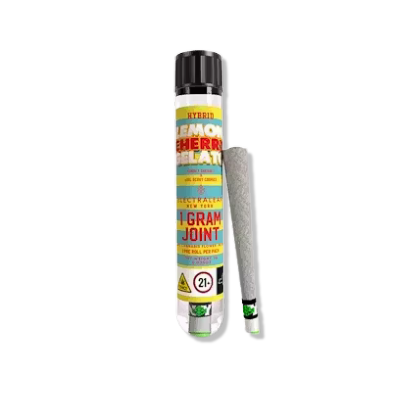 Photograph of product: Electraleaf - Lemon Cherry Gelato Preroll - 1g
