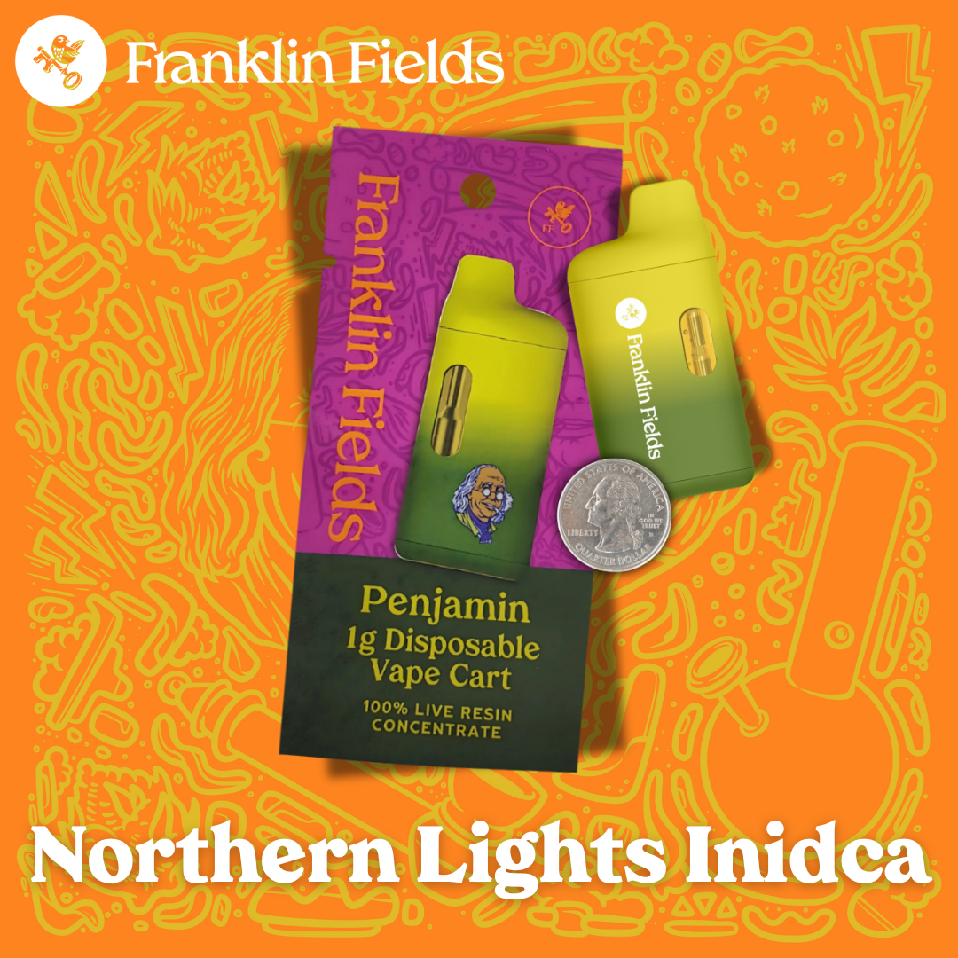 Photograph of product: Franklin Fields - 1g Penjamin Disposable - Northern Lights