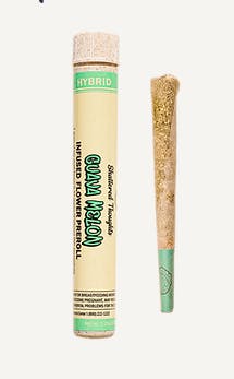 Photograph of product: 1.25g | Guava Melon | Infused Pre-roll