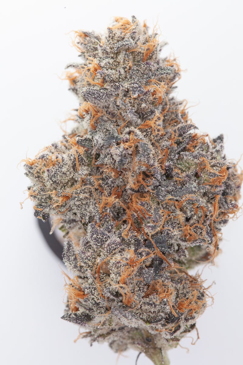 Photograph of product: White Runtz 1 OZ