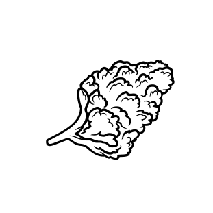 Photograph of product: Sherb Pie 1g by SJS II