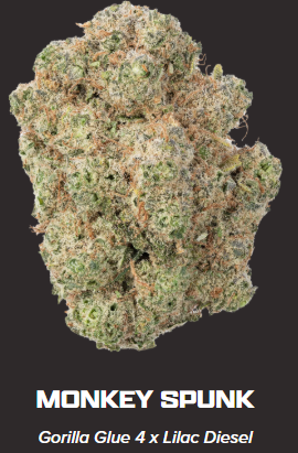 Photograph of product: ZIPS | Monkey Spunk 28g