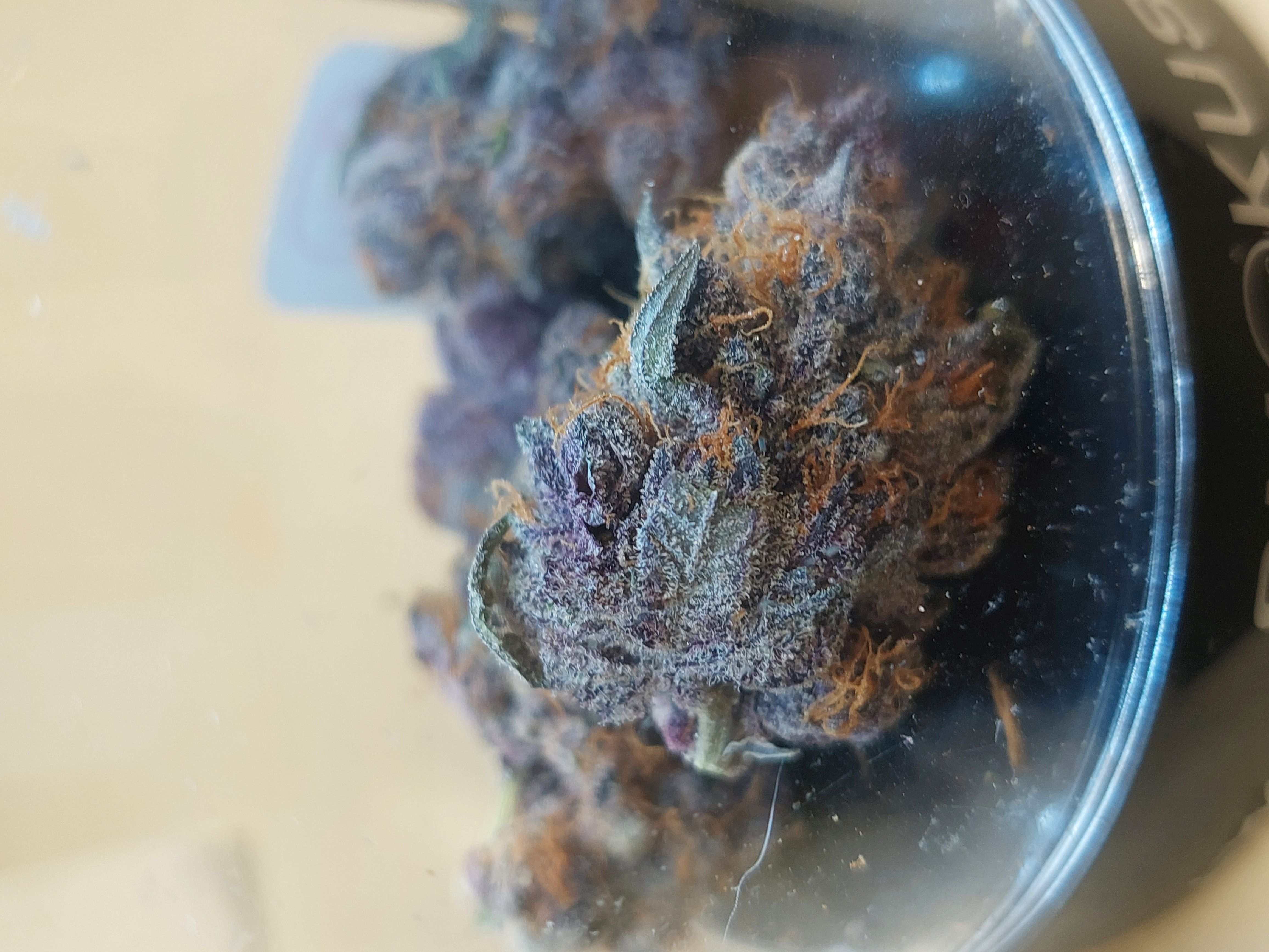 Photograph of product: FLOWER LBC TROPICANA RUNTZ - 3.5g
