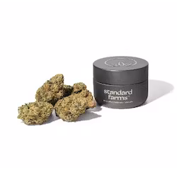 Photograph of product: Reign Man | Pre-Pack - 28g