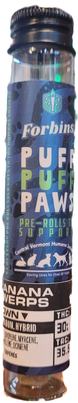 Photograph of product: Puff Puff Paws- Banana Twerps Pre-Roll | Forbins Finest
