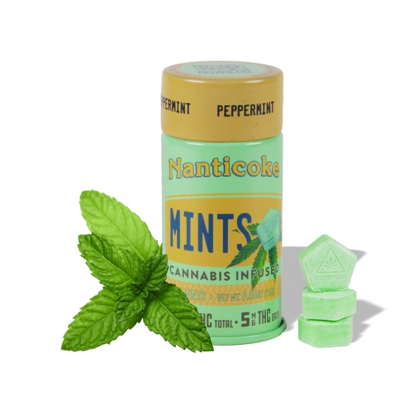 Photograph of product: Peppermint | 100mg 20pk Mints
