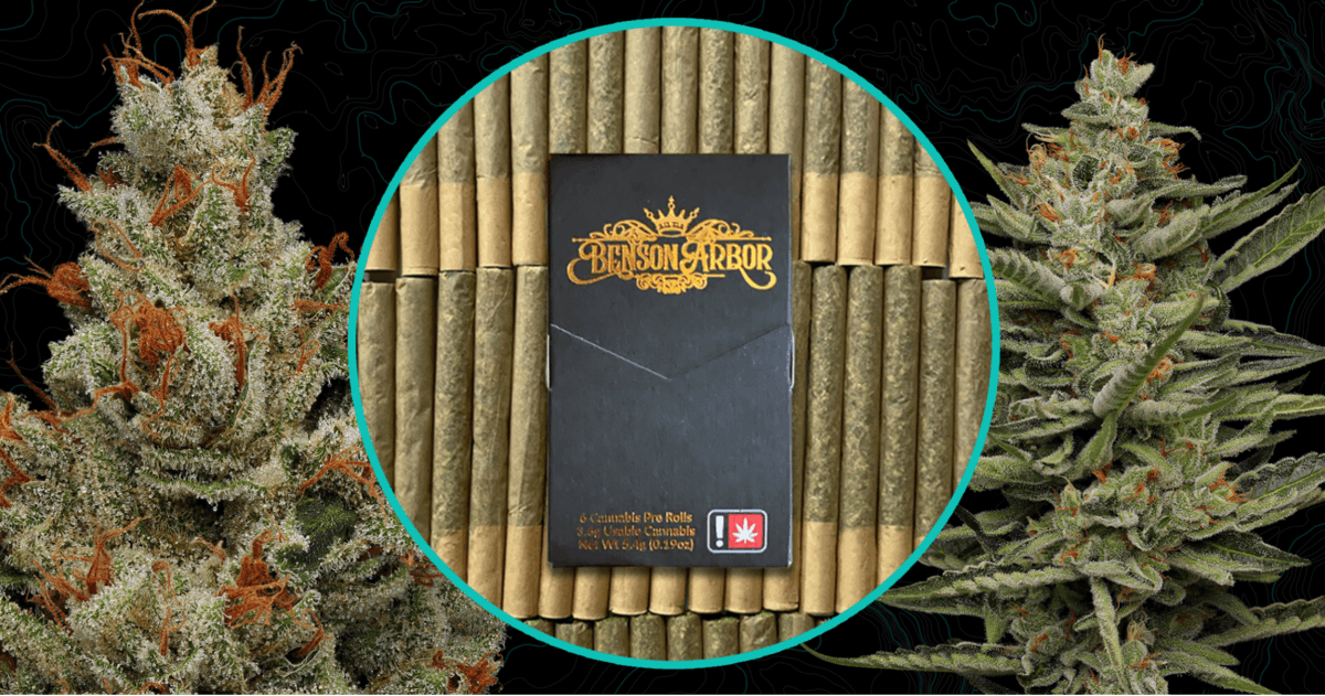 Photograph of product: Benson Arbor I Grease Monkey pre-roll pack I 6 ct