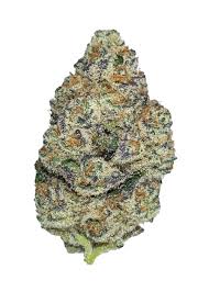 Photograph of Product: Sherbie | Pro Gro | Bulk Flower