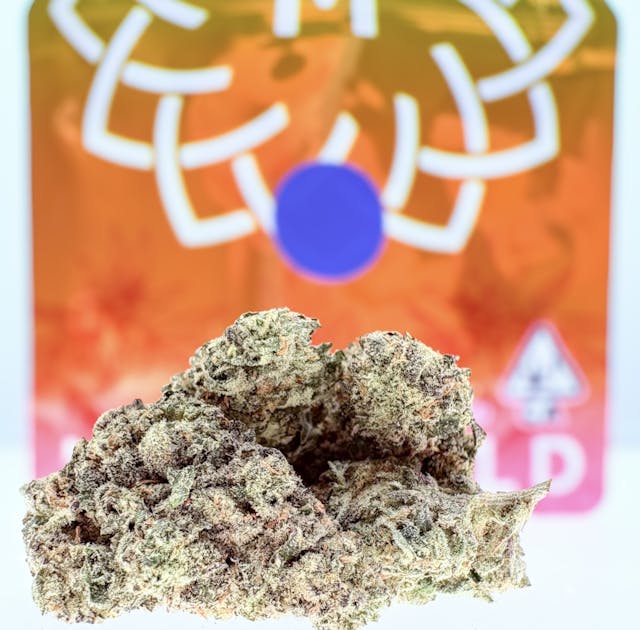 Photograph of product: Gary Payton - 