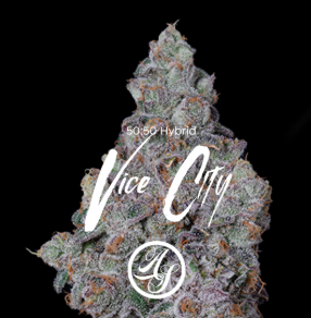 Photograph of product: (2) DC's Finest: Vice City  (H-I) - 1g