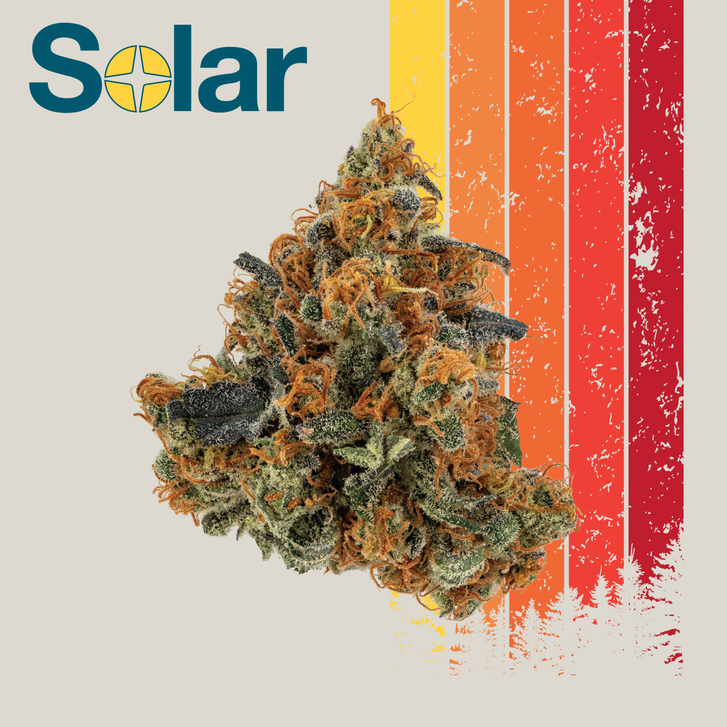 Photograph of product: Member OG? Bx1 | Solar - 28g