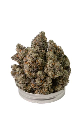 Photograph of product: Goldkine | Oreoz Blizzard| BULK Flower - 28g