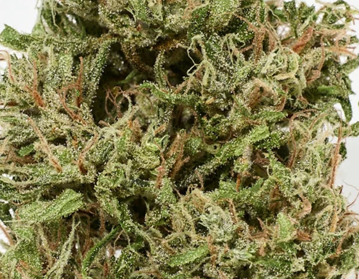 Photograph of product: Alchemy Pure Premium Full Flower Pre-Rolls | 6pk-0.5g each | Blue Dream
