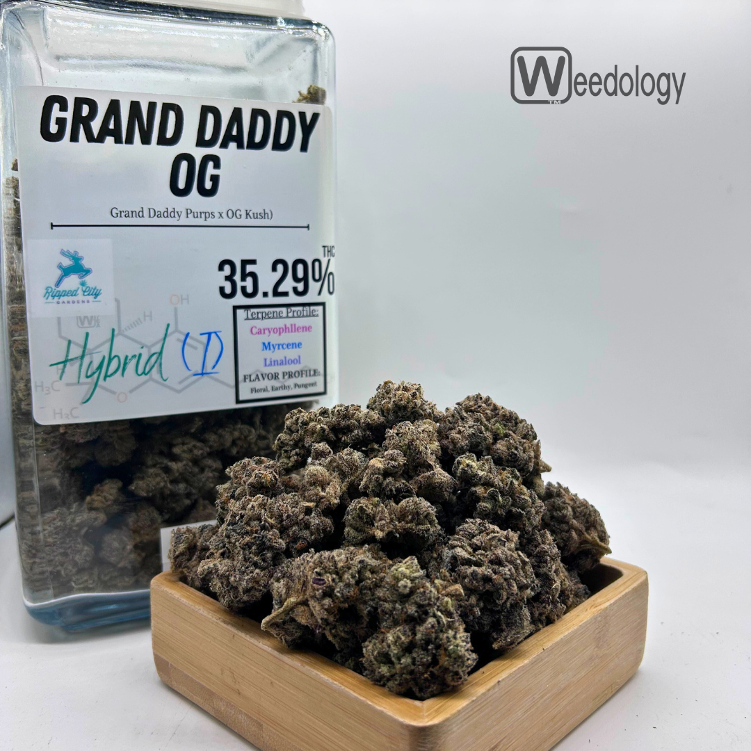 Photograph of product: Granddaddy OG (I-H) - 28g