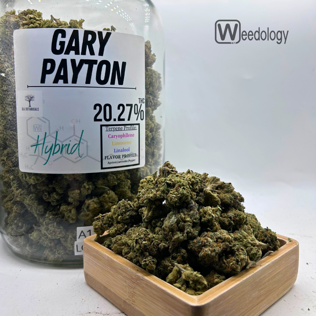 Photograph of product: Gary Payton (H) - 28g