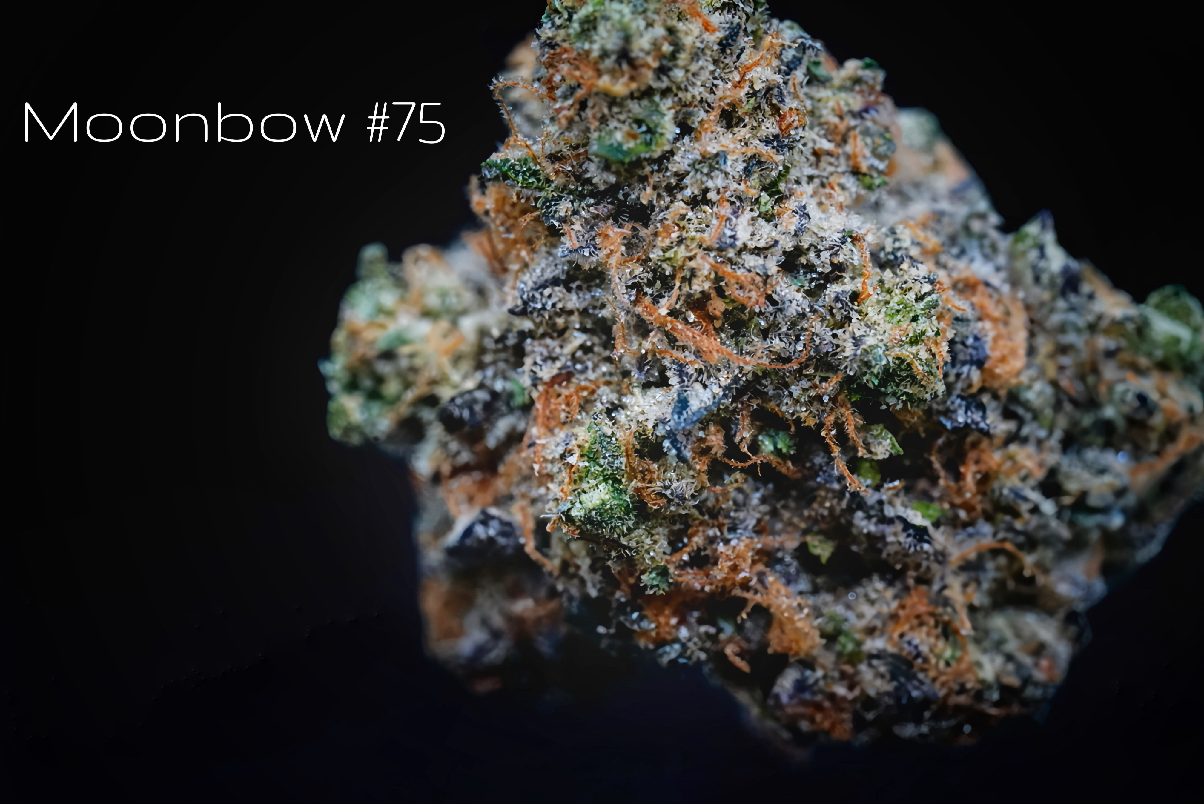 Photograph of product: Moonbow #75 Popcorn - 28g