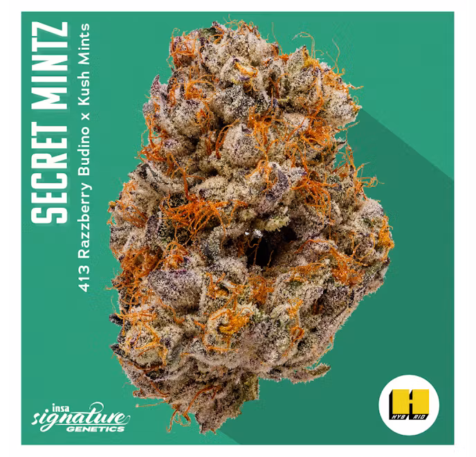 Photograph of product: Secret Mints | Flower | 3.5g