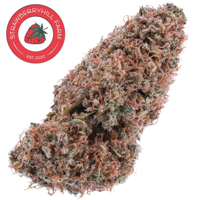 Photograph of product: Hemp Flower | Sour Lifter | 3.5g