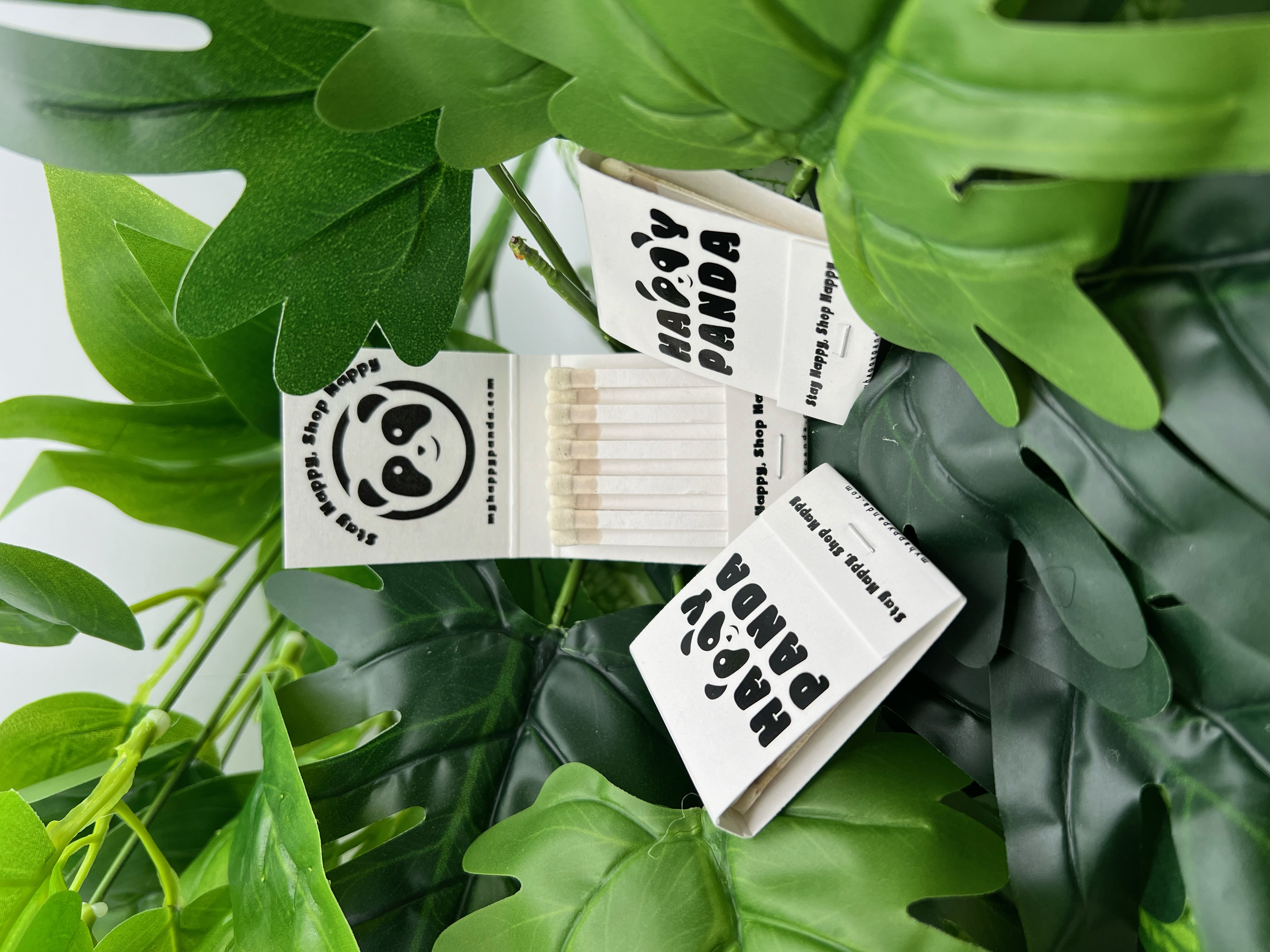 Photograph of product: Matches