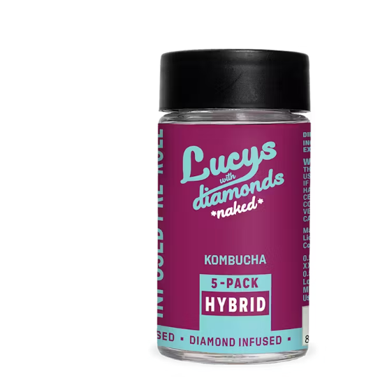 Photograph of product: Lucys | Kombucha | Infused | 5pk