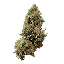 Photograph of product: OPULENCE - TOP SHELF - 1/2 OZ - 14 G
