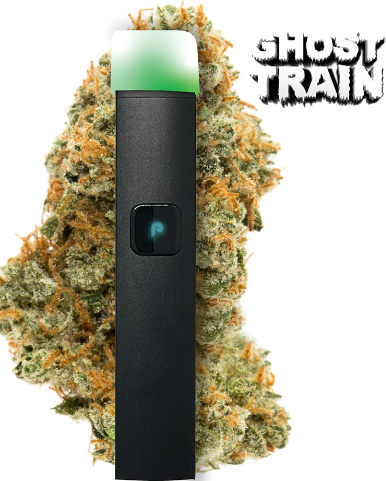 Photograph of product: Ghost Train [H] - DNA Ready To Use